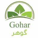 Gohar Oy