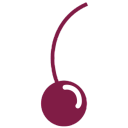 Handpicked Cherries Oy