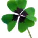 Sannan MoniPalvelu Oy