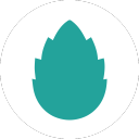 Pine & Cone Oy