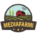 Mediafarmi Oy