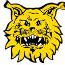 Ilves Fysio Oy