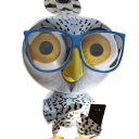 ASV Arctic Smart Village Oy