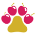 CherryDoggy Oy