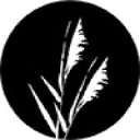 Kestavasti luonnosta TP osuuskunta