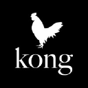 Kong Productions Oy