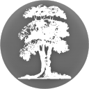 Peaceful Impact Publisher Oy