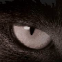 Alucat Catamarans Oy