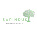 Sapindus Oy