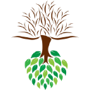 Radical Innovations Group Ab