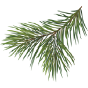 Berndtsson Invest Åland Ab