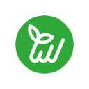 Wikli Group Oy
