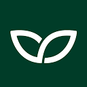 Wikli Group Oy