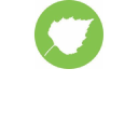 Koivukonsultointi Oy