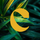 Yellow Corner Studio Oy