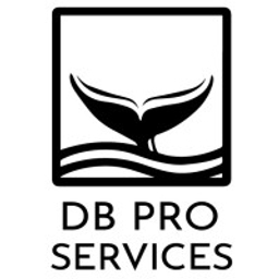 DB Pro Services Oy