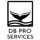 DB Pro Services Oy