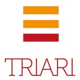 Triari Consulting Oy