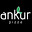 Ankur Oy