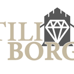 Moneyborg Oy