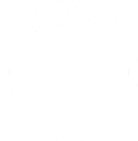 Saivon Oy