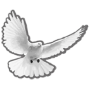 Serenum Konsulttipalvelut Oy