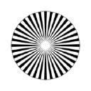 Kasvi ja seinä Suomi Oy