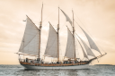 Dynamo Shipping ltd Oy