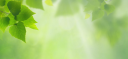 AxSmart