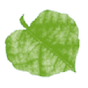 Maisemasuunnittelu-Landskapsplanering LINDEN Oy