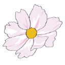 Jennin Kukka ja Puutarha Oy