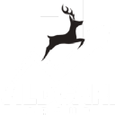 Wildcard Group Oy