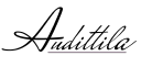 Audittila Oy