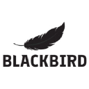 Blackbird CF Oy