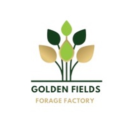 GFF Finland Oy