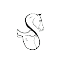 Suomen Satulapalvelu Oy