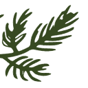 Lakitoimisto Pakanen Oy