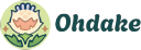 Azami Digital Oy